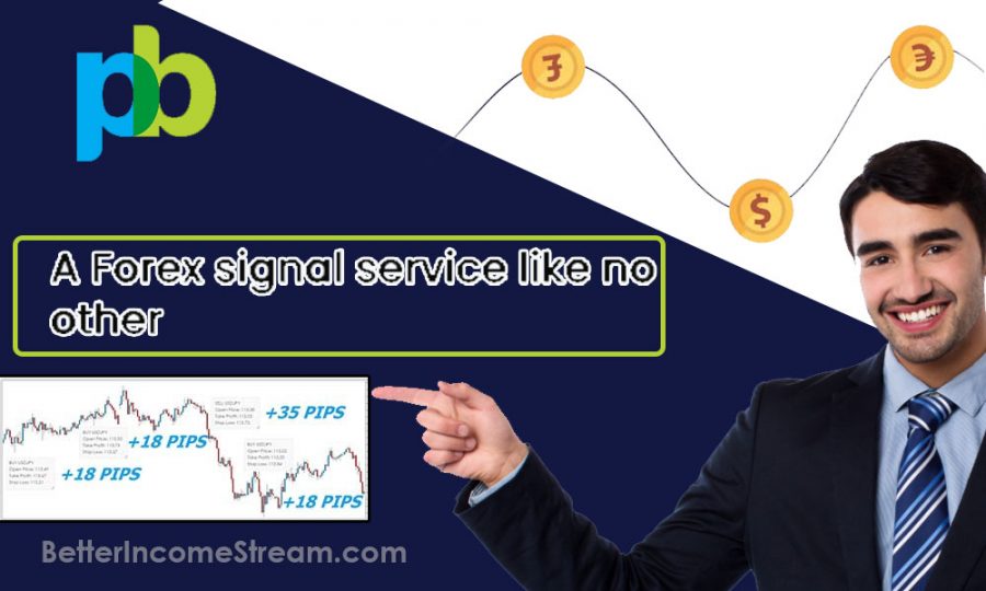 1000pip Builder A Forex Signal Service Like No Other