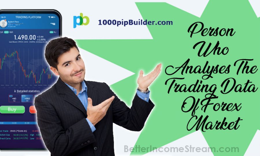 1000pip Builder Person Who Analyses The Trading Data Of Forex Market