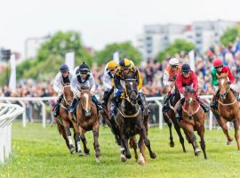 jockeys and horses in action