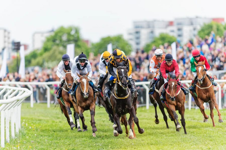 jockeys and horses in action
