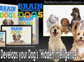 Brain Training for Dogs Develops your Dog's Hidden Intelligence