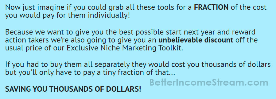 Niche Marketing Kit Saving Dollars