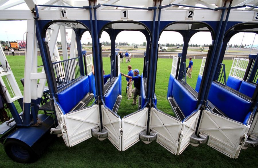 Race horse starting gate