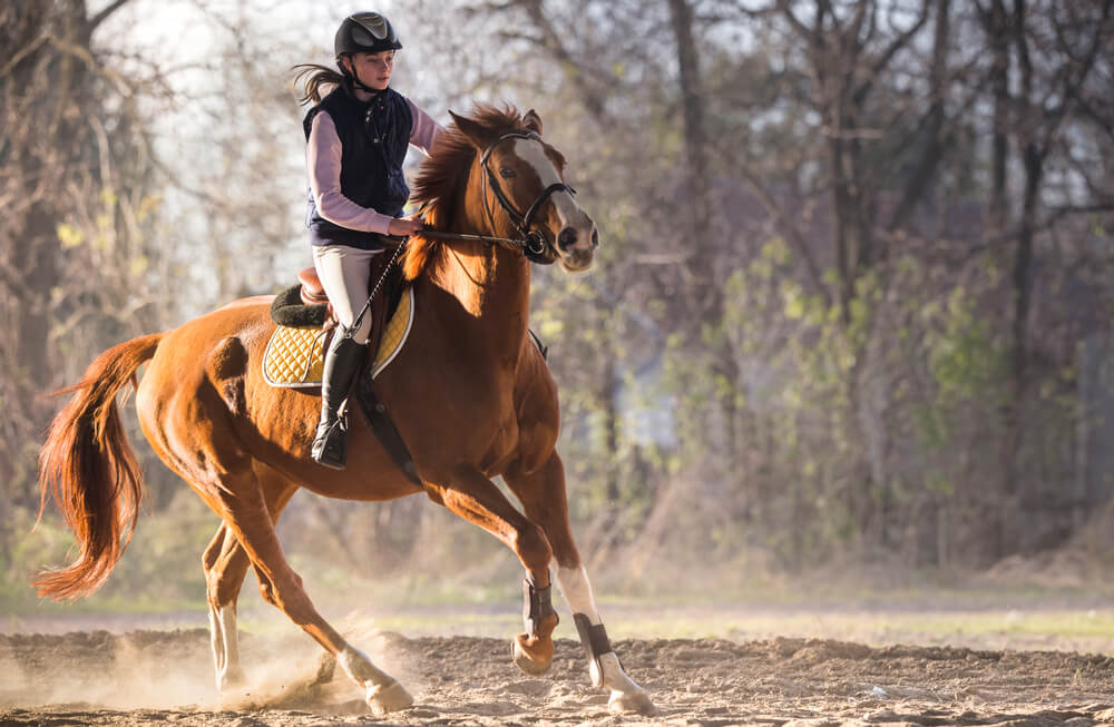 Young pretty girl riding a horse