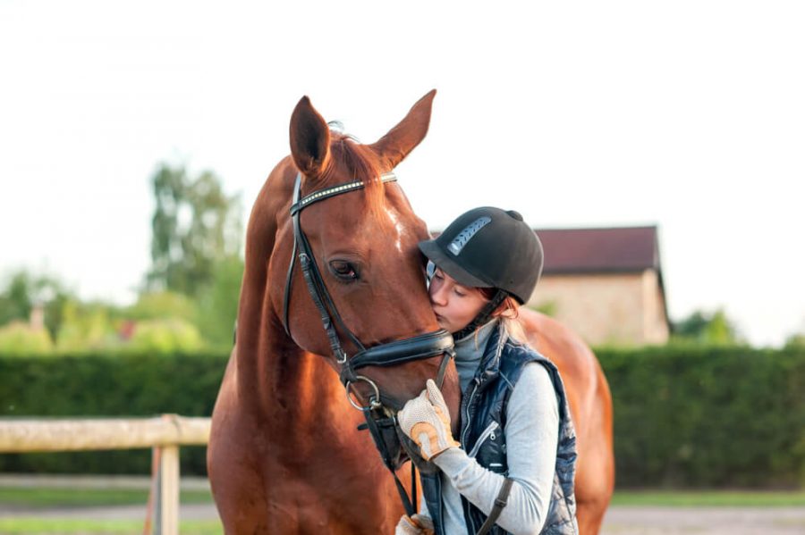 Young teenage girl equestrian kissing her chestnut horse